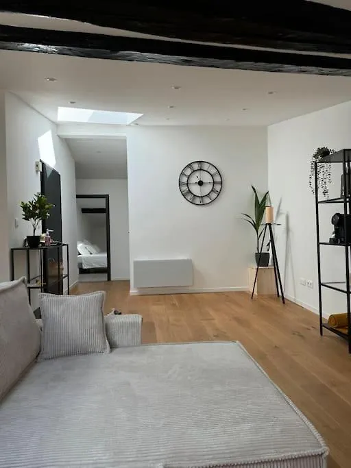 Apartment Joli Appartement En Centre-Ville Le Puy-en-Velay