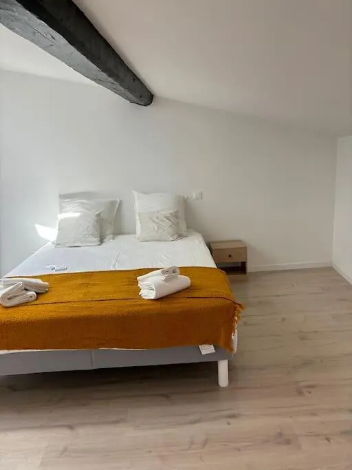 Joli Appartement En Centre-Ville Le Puy-en-Velay