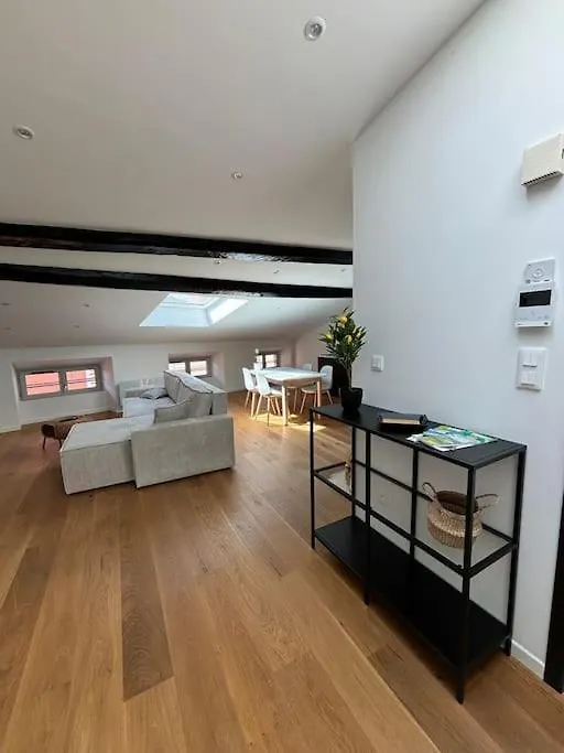 Apartment Joli Appartement En Centre-Ville Le Puy-en-Velay