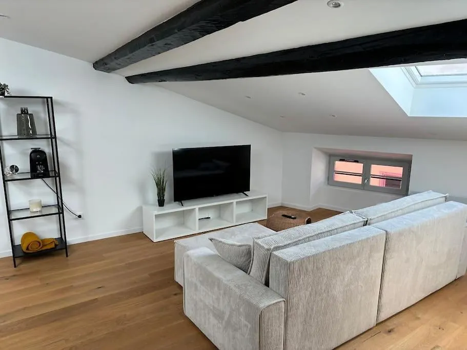 Joli Appartement En Centre-Ville Le Puy-en-Velay France