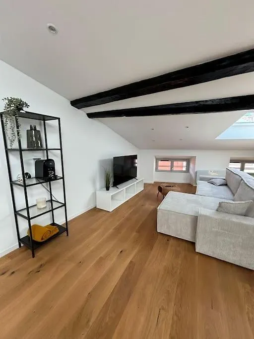 Joli Appartement En Centre-Ville Le Puy-en-Velay